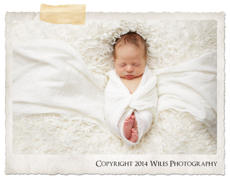 ohio newborn photographer