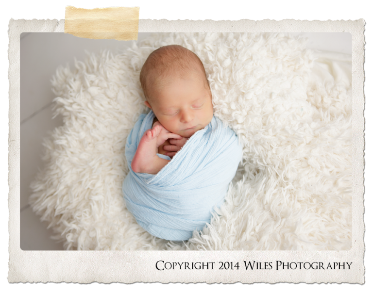 Central Ohio Newborn Photography